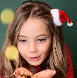 XmasSpecialADS