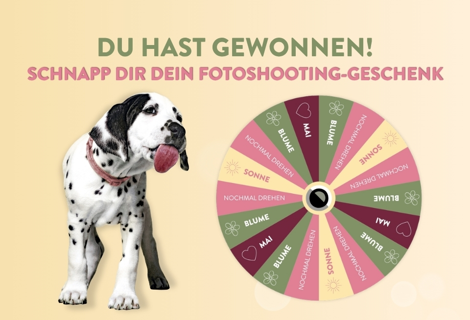 Glücksrad_Insta
